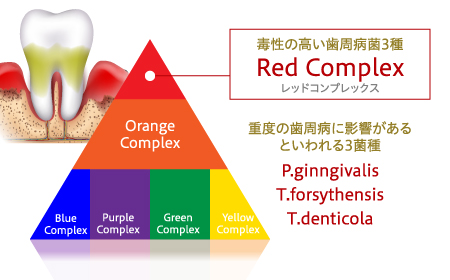 口腔内リスクの可視化