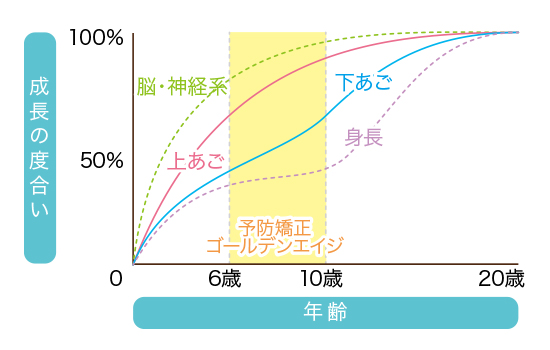 プレオルソを始めるタイミング